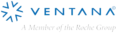 Ventana - WEBP